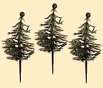 Evergreen Fir Trees