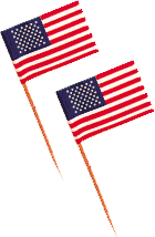 U.S. Paper Flags