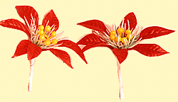 Vinyl Poinsettia Pick