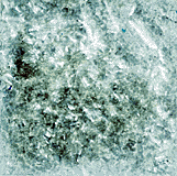 Edible Glitter White