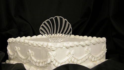 Custom Shapes Sea Shell