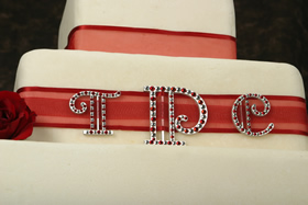 Ribbon Fully Decorated #2